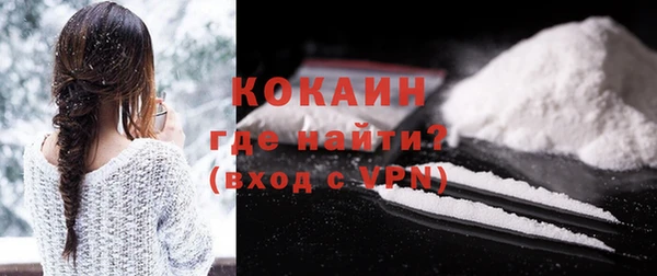 шишки Краснотурьинск