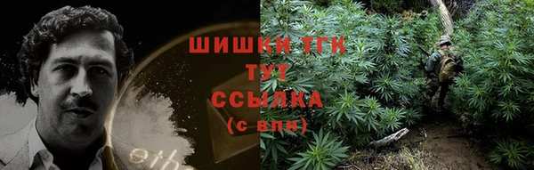 шишки Краснотурьинск