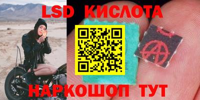 стаф Моздок