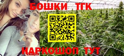 стаф Моздок
