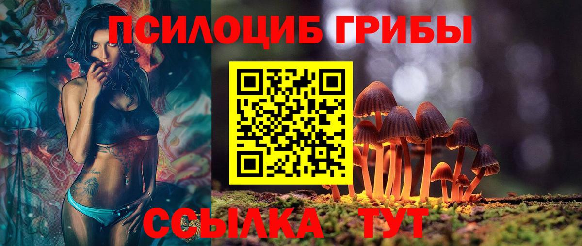 Псилоцибиновые грибы Cubensis Саров